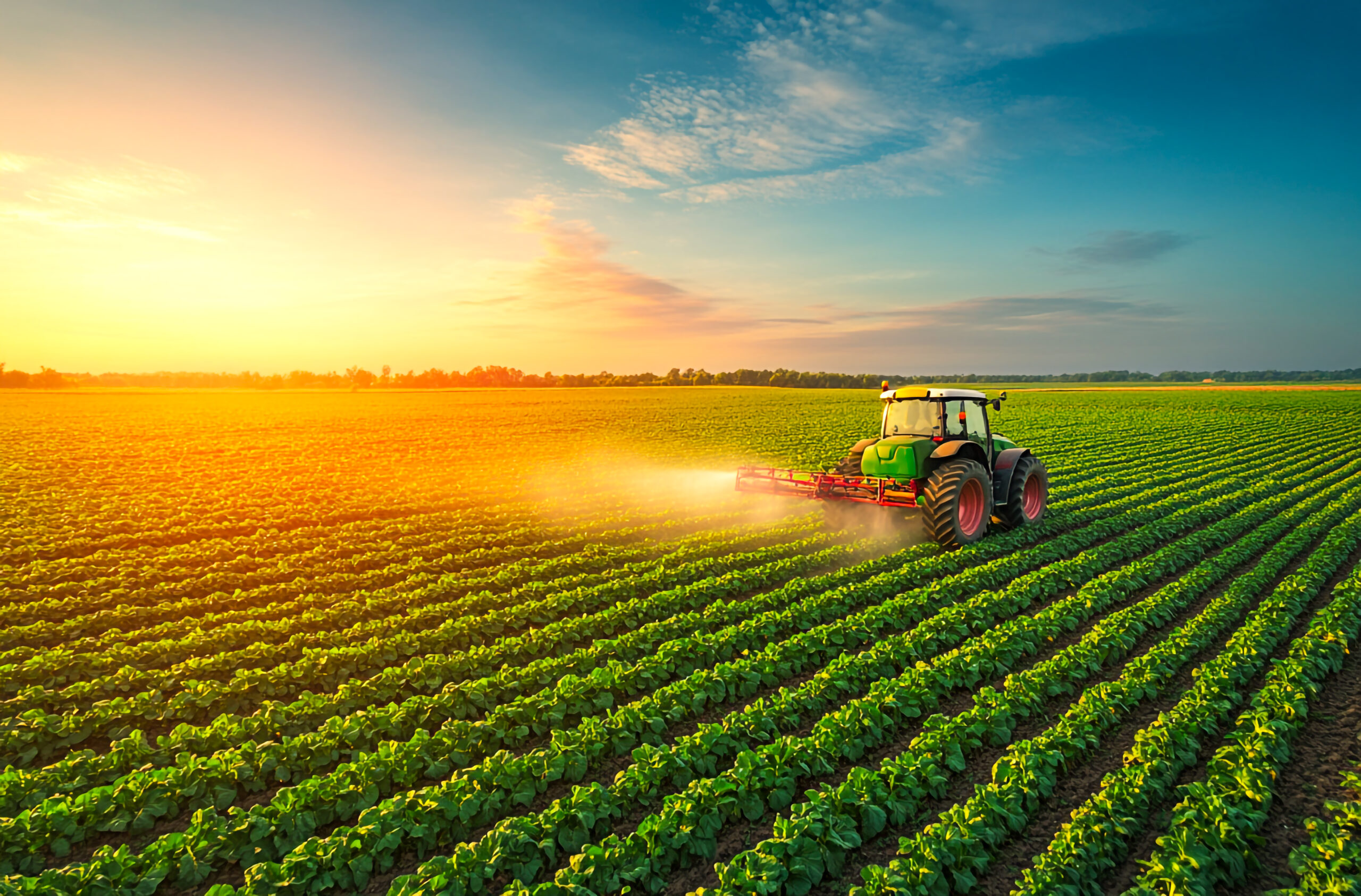 Smart farming solutions for better productivity